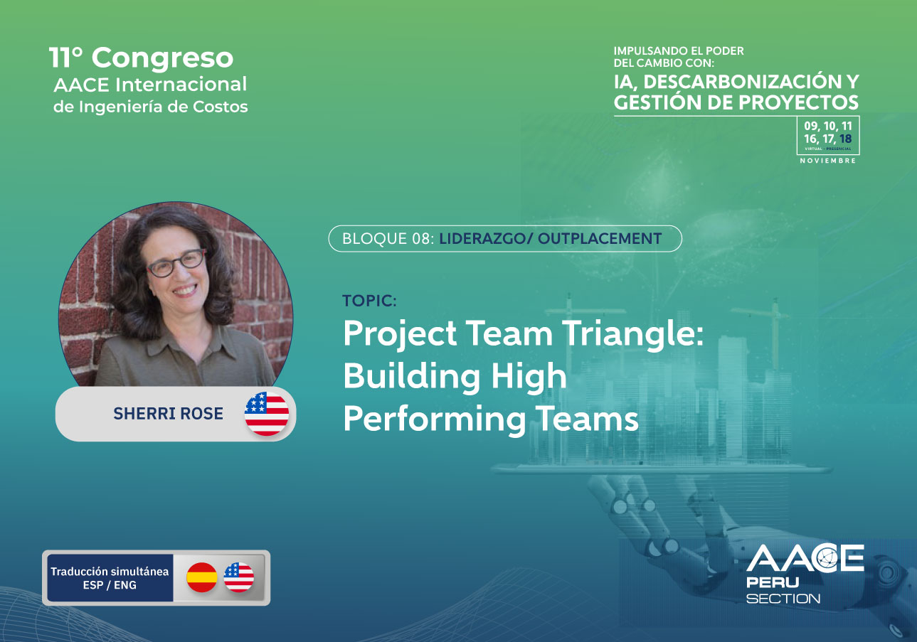 B8-02 Project Team Triangle: Building High Performing Teams